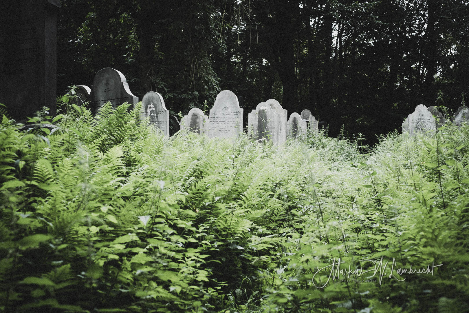Bückeburg, Jüdischer Friedhof